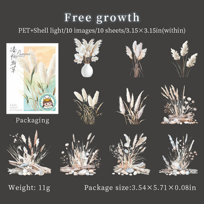 10PCS- Pampas Grass Series Shell Finish Stickers